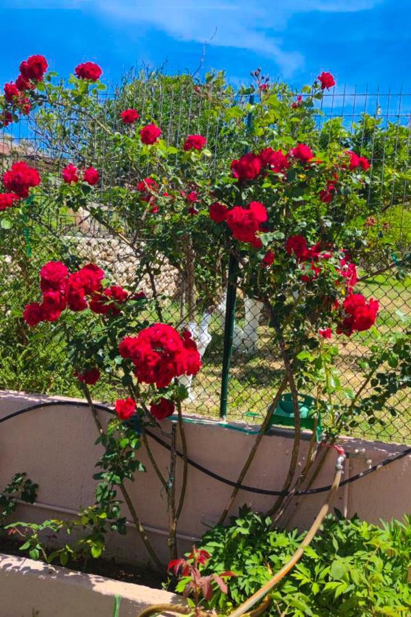 Artemis Superb 2 Bedroom Apartment 700 M Away From The Beach Миния Экстерьер фото