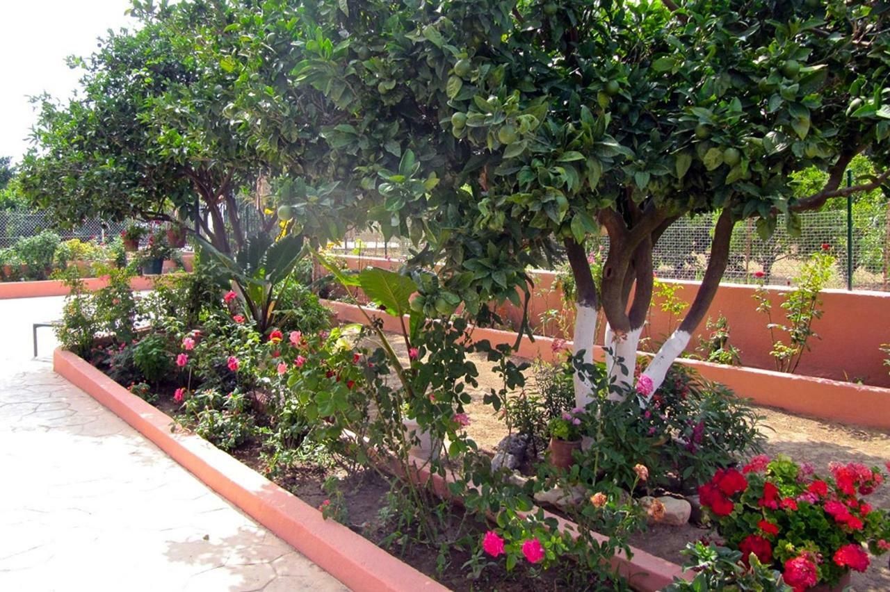 Artemis Superb 2 Bedroom Apartment 700 M Away From The Beach Миния Экстерьер фото